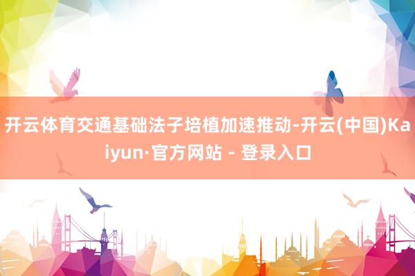 开云体育　　交通基础法子培植加速推动-开云(中国)Kaiyun·官方网站 - 登录入口