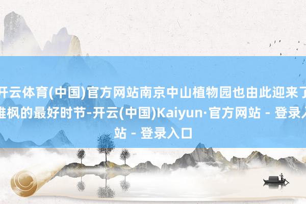 开云体育(中国)官方网站南京中山植物园也由此迎来了不雅枫的最好时节-开云(中国)Kaiyun·官方网站 - 登录入口