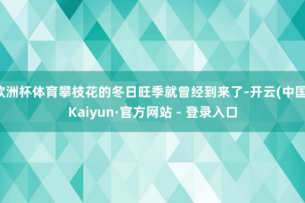欧洲杯体育攀枝花的冬日旺季就曾经到来了-开云(中国)Kaiyun·官方网站 - 登录入口