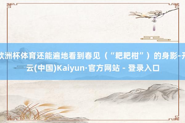 欧洲杯体育还能遍地看到春见（“耙耙柑”）的身影-开云(中国)Kaiyun·官方网站 - 登录入口