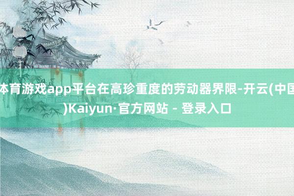 体育游戏app平台在高珍重度的劳动器界限-开云(中国)Kaiyun·官方网站 - 登录入口