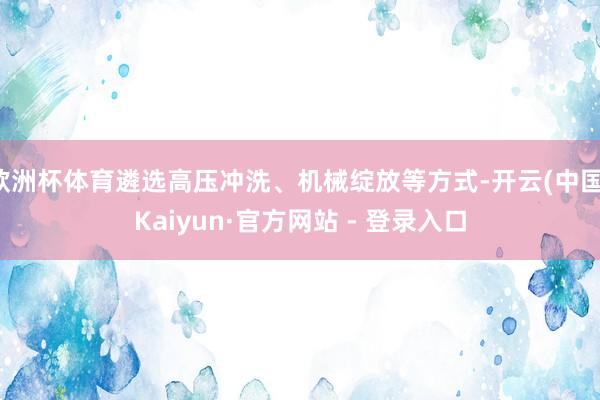 欧洲杯体育遴选高压冲洗、机械绽放等方式-开云(中国)Kaiyun·官方网站 - 登录入口