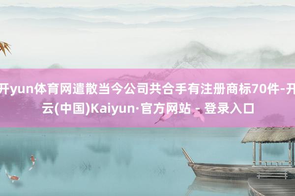 开yun体育网遣散当今公司共合手有注册商标70件-开云(中国)Kaiyun·官方网站 - 登录入口