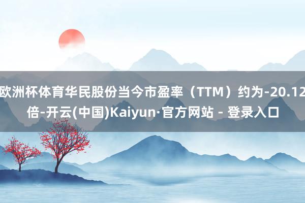 欧洲杯体育华民股份当今市盈率（TTM）约为-20.12倍-开云(中国)Kaiyun·官方网站 - 登录入口