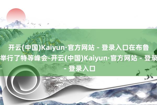 开云(中国)Kaiyun·官方网站 - 登录入口在布鲁塞尔举行了特等峰会-开云(中国)Kaiyun·官方网站 - 登录入口