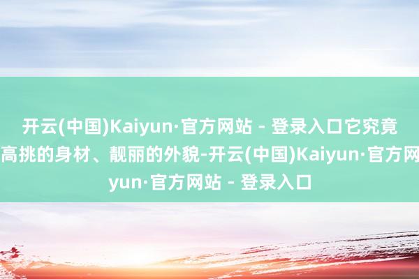 开云(中国)Kaiyun·官方网站 - 登录入口它究竟是什么呢？是高挑的身材、靓丽的外貌-开云(中国)Kaiyun·官方网站 - 登录入口
