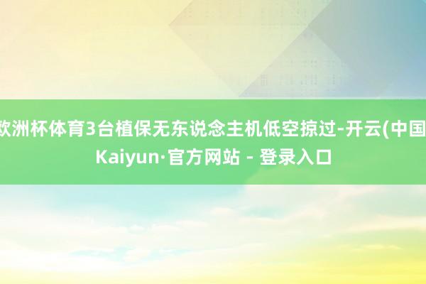 欧洲杯体育3台植保无东说念主机低空掠过-开云(中国)Kaiyun·官方网站 - 登录入口