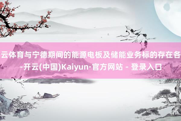 开云体育与宁德期间的能源电板及储能业务标的存在各异-开云(中国)Kaiyun·官方网站 - 登录入口